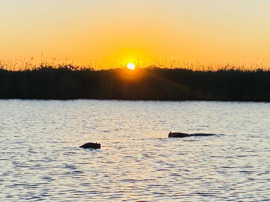 El Seuno De Africa -The Dream Of Africa Villa Saint Lucia Estuary Buitenkant foto